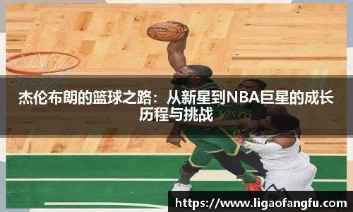 xk星空官方